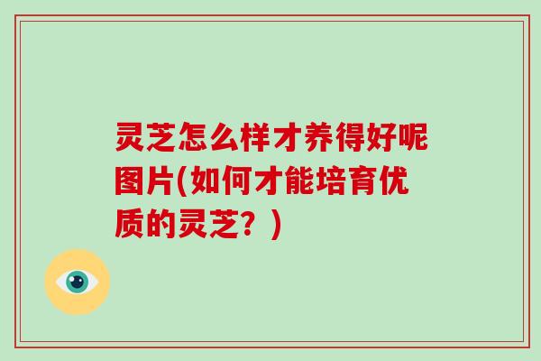 灵芝怎么样才养得好呢图片(如何才能培育优质的灵芝?) 灵芝怎么样才养得好呢图片(如何才能培育优质的灵芝?)