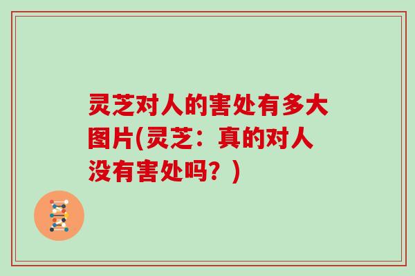 灵芝对人的害处有多大图片(灵芝:真的对人没有害处吗?) 灵芝对人的害处有多大图片(灵芝:真的对人没有害处吗?)