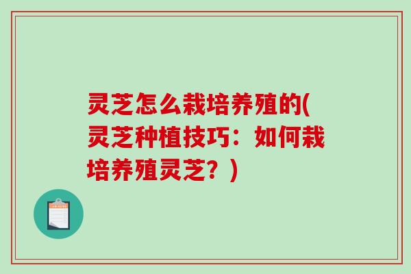 灵芝怎么栽培养殖的(灵芝种植技巧:如何栽培养殖灵芝?) 灵芝怎么栽培养殖的(灵芝种植技巧:如何栽培养殖灵芝?)