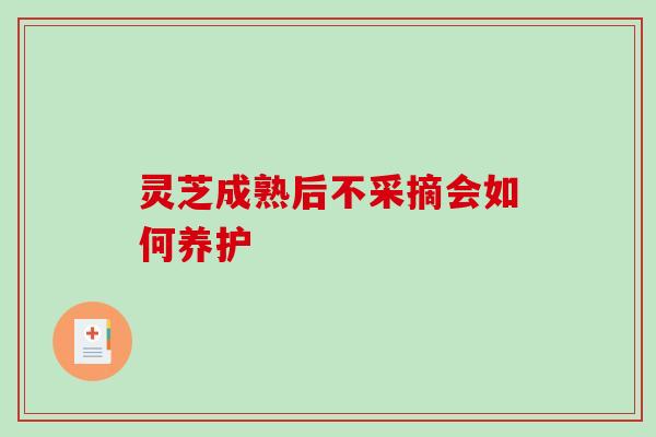灵芝成熟后不采摘会如何养护