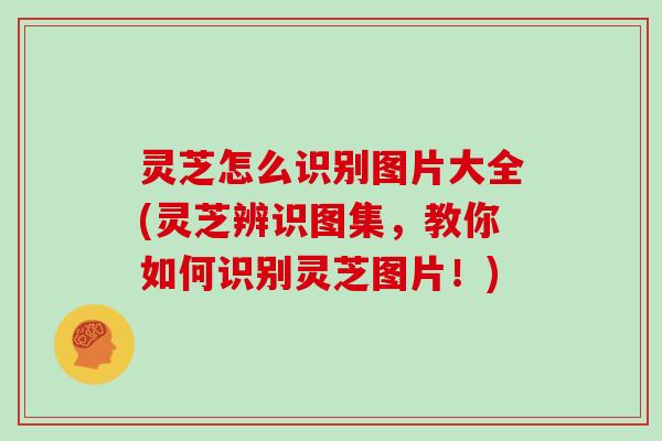 灵芝怎么识别图片大全(灵芝辨识图集,教你如何识别灵芝图片!) 灵芝怎么识别图片大全(灵芝辨识图集,教你如何识别灵芝图片!)