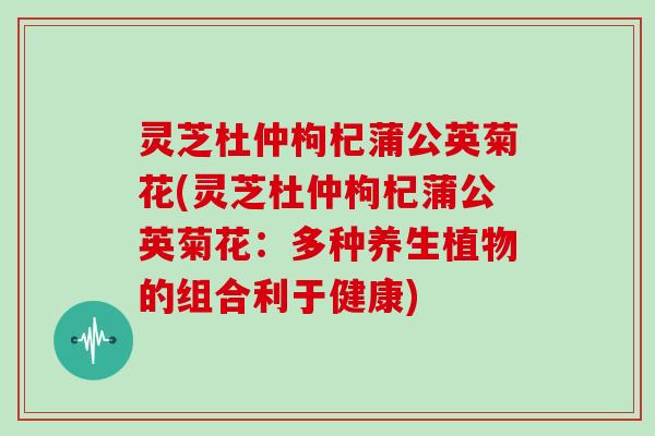 灵芝杜仲枸杞蒲公英菊花(灵芝杜仲枸杞蒲公英菊花:多种养生植物的组合利于健康) 灵芝杜仲枸杞蒲公英菊花(灵芝杜仲枸杞蒲公英菊花:多种养生植物的组合利于健康)