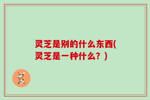 灵芝是别的什么东西(灵芝是一种什么?) 灵芝是别的什么东西(灵芝是一种什么?)