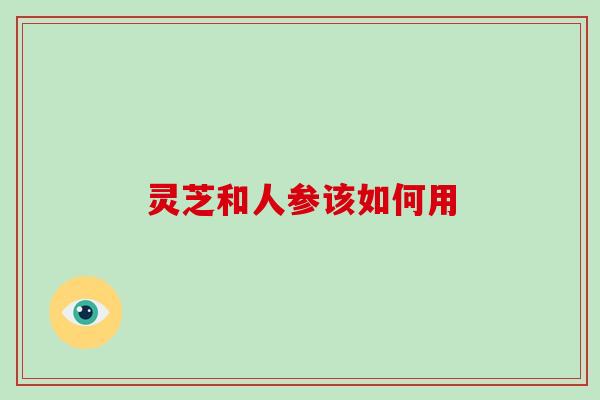 灵芝和人参该如何用