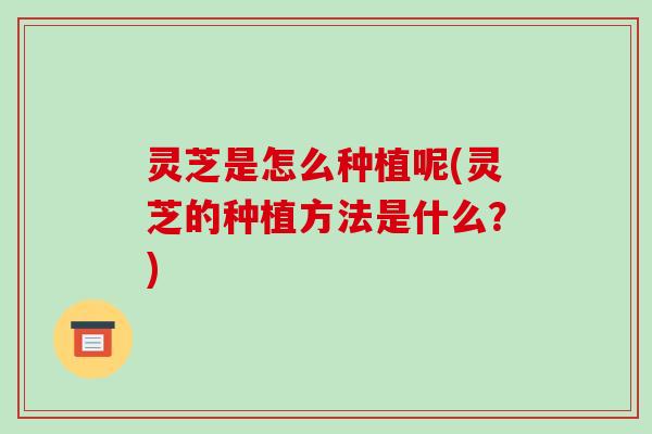 灵芝是怎么种植呢(灵芝的种植方法是什么?) 灵芝是怎么种植呢(灵芝的种植方法是什么?)