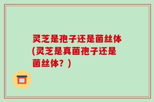 灵芝是孢子还是菌丝体(灵芝是真菌孢子还是菌丝体?) 灵芝是孢子还是菌丝体(灵芝是真菌孢子还是菌丝体?)