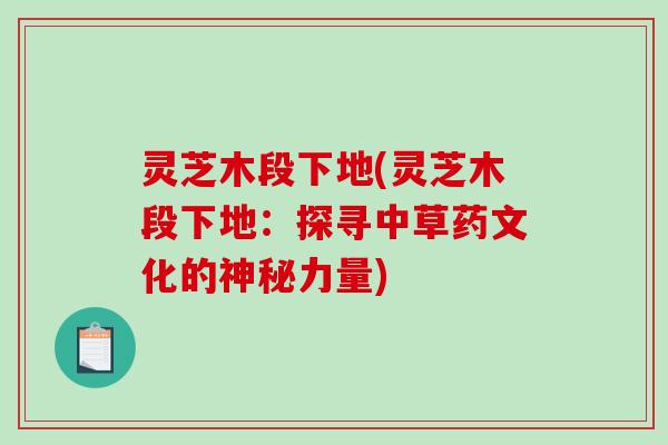 灵芝木段下地(灵芝木段下地：探寻中草药文化的神秘力量)