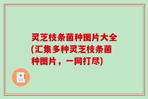 灵芝枝条菌种图片大全(汇集多种灵芝枝条菌种图片,一网打尽) 灵芝枝条菌种图片大全(汇集多种灵芝枝条菌种图片,一网打尽)