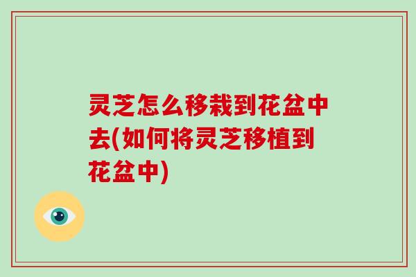 灵芝怎么移栽到花盆中去(如何将灵芝移植到花盆中) 灵芝怎么移栽到花盆中去(如何将灵芝移植到花盆中)