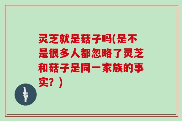 灵芝就是菇子吗(是不是很多人都忽略了灵芝和菇子是同一家族的事实？)