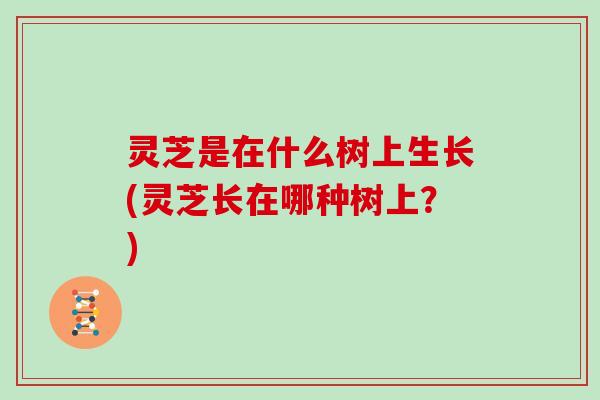 灵芝是在什么树上生长(灵芝长在哪种树上?) 灵芝是在什么树上生长(灵芝长在哪种树上?)