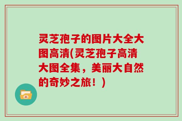 灵芝孢子的图片大全大图高清(灵芝孢子高清大图全集,美丽大自然的奇妙之旅!) 灵芝孢子的图片大全大图高清(灵芝孢子高清大图全集,美丽大自然的奇妙之旅!)