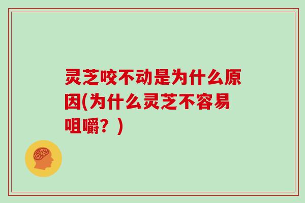 灵芝咬不动是为什么原因(为什么灵芝不容易咀嚼?) 灵芝咬不动是为什么原因(为什么灵芝不容易咀嚼?)