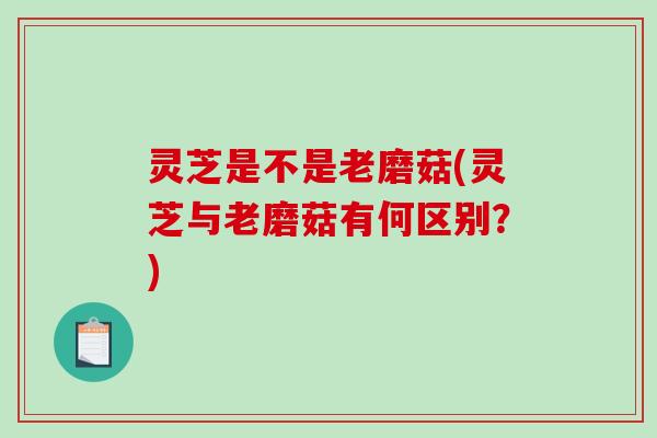 灵芝是不是老磨菇(灵芝与老磨菇有何区别?) 灵芝是不是老磨菇(灵芝与老磨菇有何区别?)