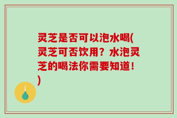 灵芝是否可以泡水喝(灵芝可否饮用？水泡灵芝的喝法你需要知道！)
