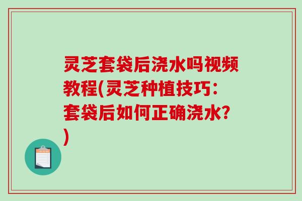 灵芝套袋后浇水吗视频教程(灵芝种植技巧：套袋后如何正确浇水？)