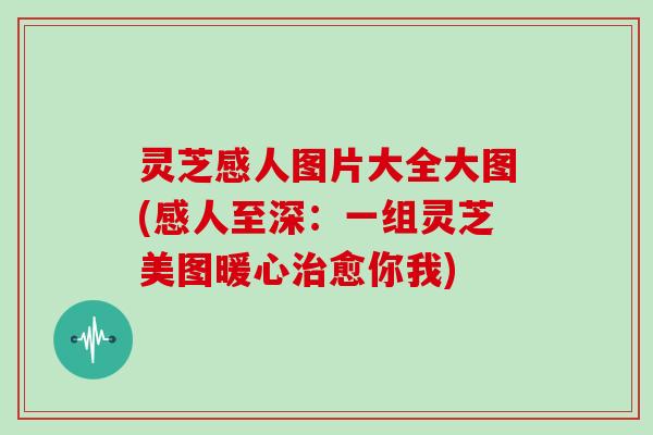 灵芝感人图片大全大图(感人至深:一组灵芝美图暖心愈你我) 灵芝感人图片大全大图(感人至深:一组灵芝美图暖心愈你我)