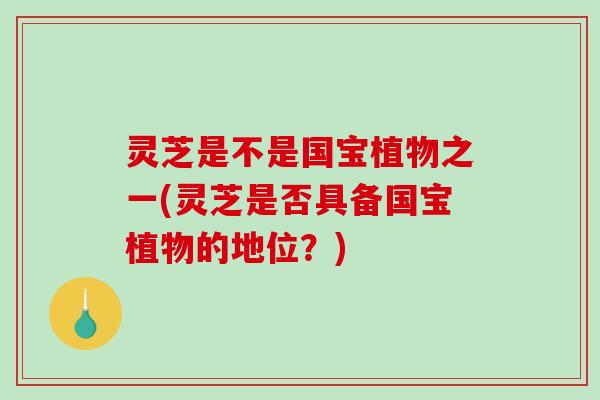 灵芝是不是国宝植物之一(灵芝是否具备国宝植物的地位?) 灵芝是不是国宝植物之一(灵芝是否具备国宝植物的地位?)