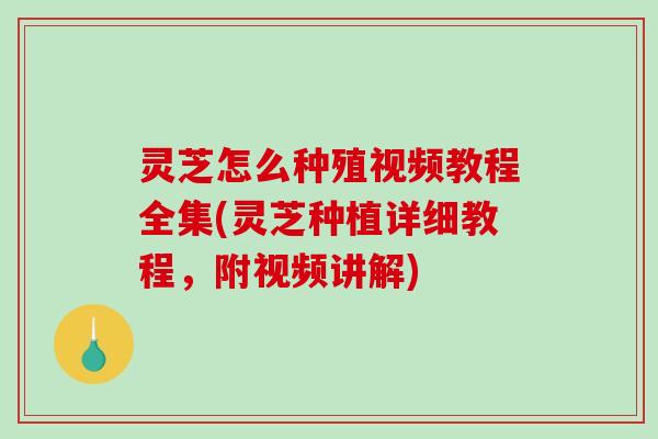 灵芝怎么种殖视频教程全集(灵芝种植详细教程,附视频讲解) 灵芝怎么种殖视频教程全集(灵芝种植详细教程,附视频讲解)