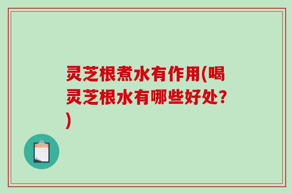 灵芝根煮水有作用(喝灵芝根水有哪些好处?) 灵芝根煮水有作用(喝灵芝根水有哪些好处?)