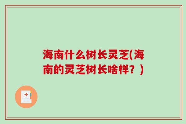 海南什么树长灵芝(海南的灵芝树长啥样？)