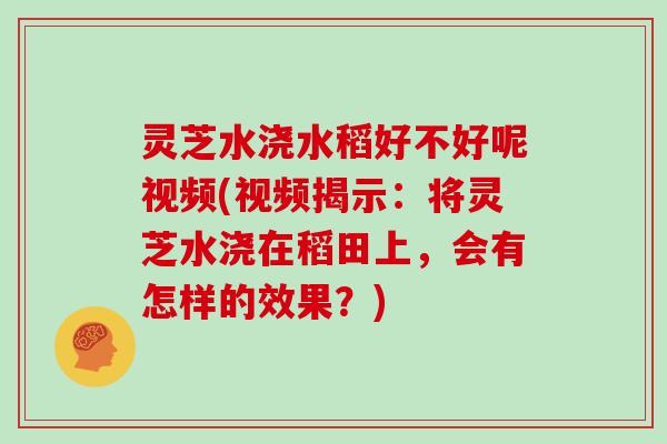 灵芝水浇水稻好不好呢视频(视频揭示:将灵芝水浇在稻田上,会有怎样的效果?) 灵芝水浇水稻好不好呢视频(视频揭示:将灵芝水浇在稻田上,会有怎样的效果?)