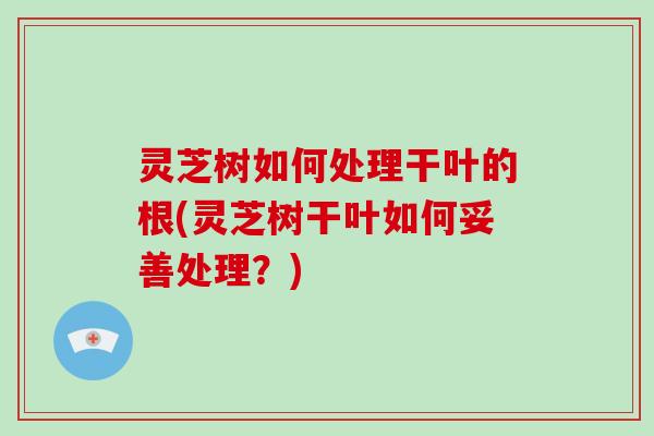 灵芝树如何处理干叶的根(灵芝树干叶如何妥善处理?) 灵芝树如何处理干叶的根(灵芝树干叶如何妥善处理?)