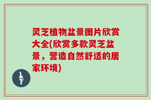 灵芝植物盆景图片欣赏大全(欣赏多款灵芝盆景,营造自然舒适的居家环境) 灵芝植物盆景图片欣赏大全(欣赏多款灵芝盆景,营造自然舒适的居家环境)