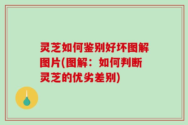 灵芝如何鉴别好坏图解图片(图解:如何判断灵芝的优劣差别) 灵芝如何鉴别好坏图解图片(图解:如何判断灵芝的优劣差别)
