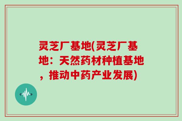 灵芝厂基地(灵芝厂基地:天然药材种植基地,推动产业发展) 灵芝厂基地(灵芝厂基地:天然药材种植基地,推动产业发展)