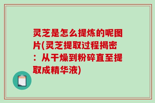 灵芝是怎么提炼的呢图片(灵芝提取过程揭密:从干燥到粉碎直至提取成精华液) 灵芝是怎么提炼的呢图片(灵芝提取过程揭密:从干燥到粉碎直至提取成精华液)