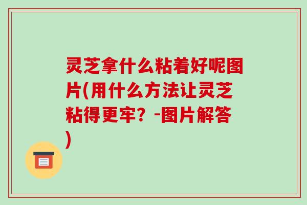 灵芝拿什么粘着好呢图片(用什么方法让灵芝粘得更牢?-图片解答) 灵芝拿什么粘着好呢图片(用什么方法让灵芝粘得更牢?-图片解答)