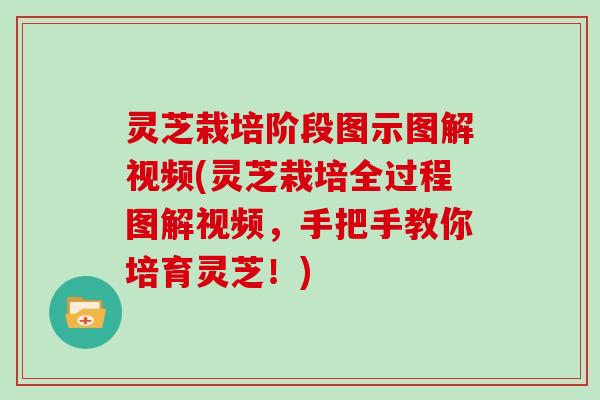 灵芝栽培阶段图示图解视频(灵芝栽培全过程图解视频,手把手教你培育灵芝!) 灵芝栽培阶段图示图解视频(灵芝栽培全过程图解视频,手把手教你培育灵芝!)