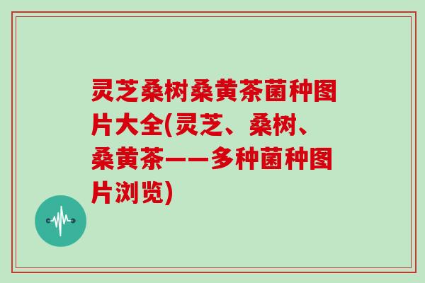 灵芝桑树桑黄茶菌种图片大全(灵芝、桑树、桑黄茶——多种菌种图片浏览)