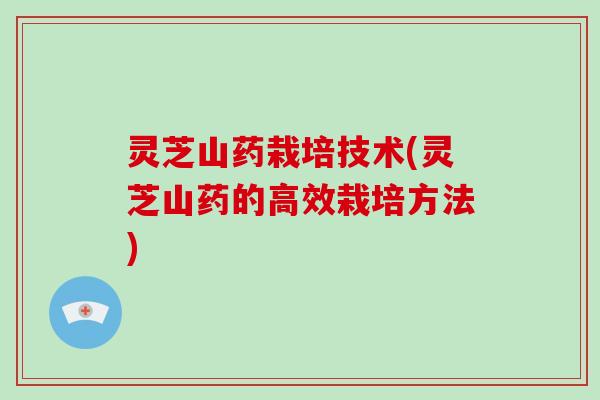 灵芝山药栽培技术(灵芝山药的高效栽培方法) 灵芝山药栽培技术(灵芝山药的高效栽培方法)