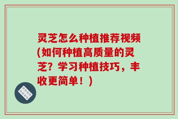 灵芝怎么种植推荐视频(如何种植高质量的灵芝?学习种植技巧,丰收更简单!) 灵芝怎么种植推荐视频(如何种植高质量的灵芝?学习种植技巧,丰收更简单!)