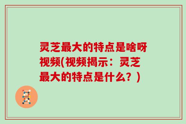 灵芝大的特点是啥呀视频(视频揭示:灵芝大的特点是什么?) 灵芝大的特点是啥呀视频(视频揭示:灵芝大的特点是什么?)
