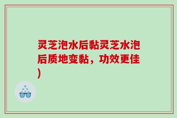 灵芝泡水后黏灵芝水泡后质地变黏，功效更佳)