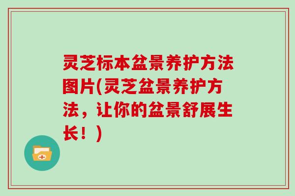 灵芝标本盆景养护方法图片(灵芝盆景养护方法,让你的盆景舒展生长!) 灵芝标本盆景养护方法图片(灵芝盆景养护方法,让你的盆景舒展生长!)