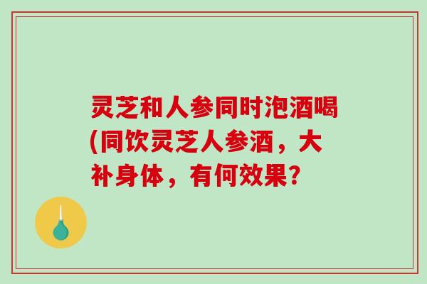 灵芝和人参同时泡酒喝(同饮灵芝人参酒,大补身体,有何效果? 灵芝和人参同时泡酒喝(同饮灵芝人参酒,大补身体,有何效果?