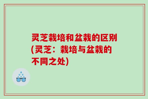 灵芝栽培和盆栽的区别(灵芝:栽培与盆栽的不同之处) 灵芝栽培和盆栽的区别(灵芝:栽培与盆栽的不同之处)