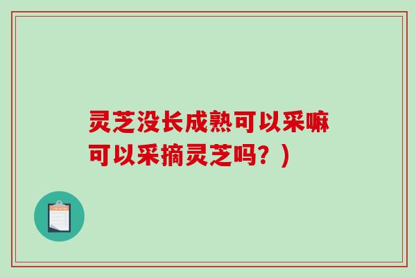 灵芝没长成熟可以采嘛可以采摘灵芝吗？)