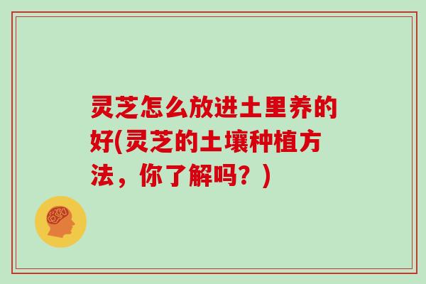 灵芝怎么放进土里养的好(灵芝的土壤种植方法,你了解吗?) 灵芝怎么放进土里养的好(灵芝的土壤种植方法,你了解吗?)