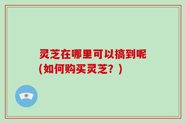灵芝在哪里可以搞到呢(如何购买灵芝?) 灵芝在哪里可以搞到呢(如何购买灵芝?)