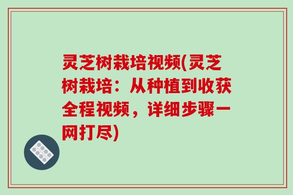 灵芝树栽培视频(灵芝树栽培:从种植到收获全程视频,详细步骤一网打尽) 灵芝树栽培视频(灵芝树栽培:从种植到收获全程视频,详细步骤一网打尽)