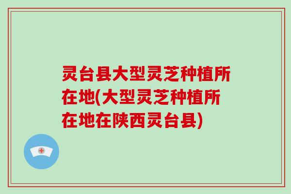 灵台县大型灵芝种植所在地(大型灵芝种植所在地在陕西灵台县)
