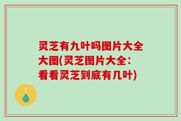 灵芝有九叶吗图片大全大图(灵芝图片大全:看看灵芝到底有几叶) 灵芝有九叶吗图片大全大图(灵芝图片大全:看看灵芝到底有几叶)