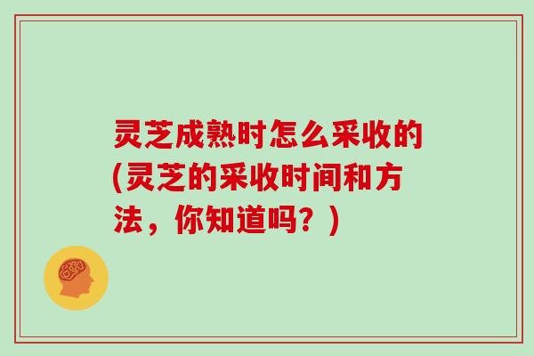 灵芝成熟时怎么采收的(灵芝的采收时间和方法,你知道吗?) 灵芝成熟时怎么采收的(灵芝的采收时间和方法,你知道吗?)
