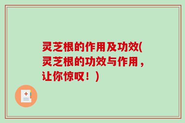 灵芝根的作用及功效(灵芝根的功效与作用，让你惊叹！)