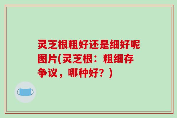 灵芝根粗好还是细好呢图片(灵芝根：粗细存争议，哪种好？)